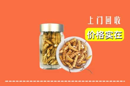 收购资讯:永州市宁远回收散虫草