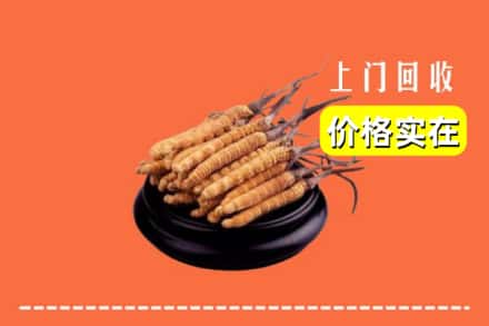 永州市宁远回收冬虫夏草